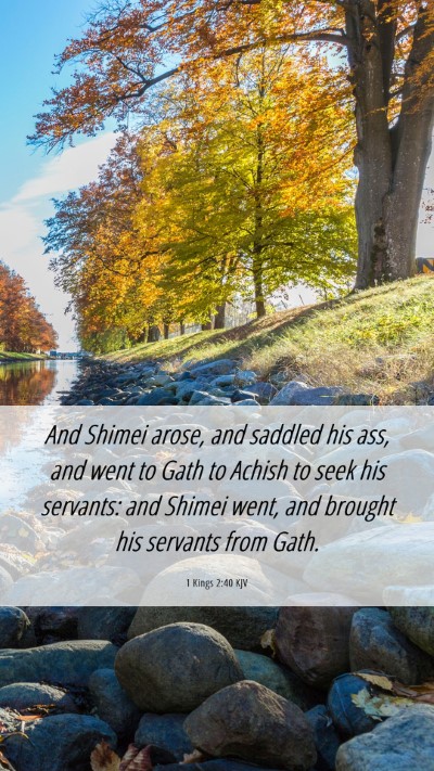 Picture 06 - 1 Kings 2:40 KJV Mobile Phone Wallpaper - And Shimei arose, and saddled his ass, and went - Mobile Bible Verse Wallpaper