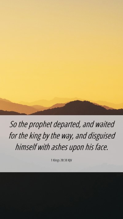 Picture 06 - 1 Kings 20:38 KJV Mobile Phone Wallpaper - So the prophet departed, and waited for the king - Mobile Bible Verse Wallpaper