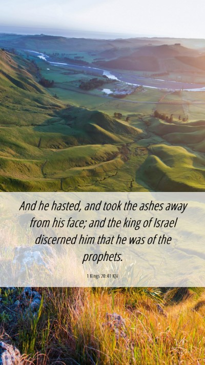 Picture 06 - 1 Kings 20:41 KJV Mobile Phone Wallpaper - And he hasted, and took the ashes away from his - Mobile Bible Verse Wallpaper