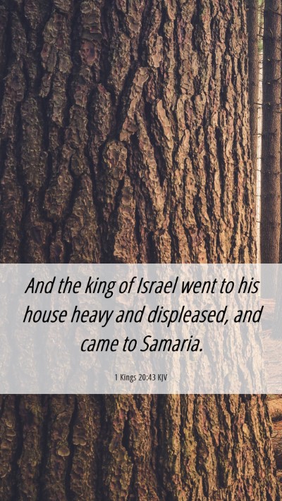 Picture 06 - 1 Kings 20:43 KJV Mobile Phone Wallpaper - And the king of Israel went to his house heavy - Mobile Bible Verse Wallpaper