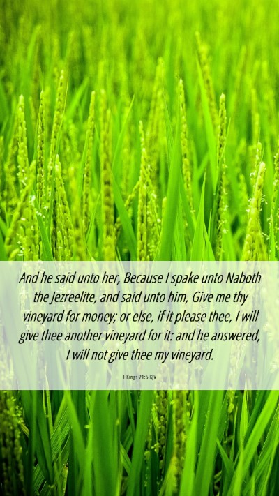 Picture 06 - 1 Kings 21:6 KJV Mobile Phone Wallpaper - And he said unto her, Because I spake unto Naboth - Mobile Bible Verse Wallpaper