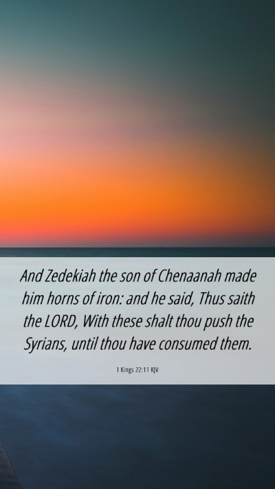 Picture 06 - 1 Kings 22:11 KJV Mobile Phone Wallpaper - And Zedekiah the son of Chenaanah made him horns - Mobile Bible Verse Wallpaper