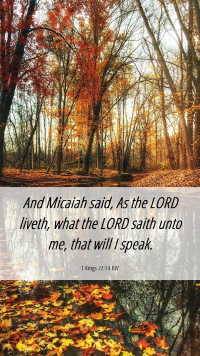 Picture 06 - 1 Kings 22:14 KJV Mobile Phone Wallpaper - And Micaiah said, As the LORD liveth, what the - Mobile Bible Verse Wallpaper