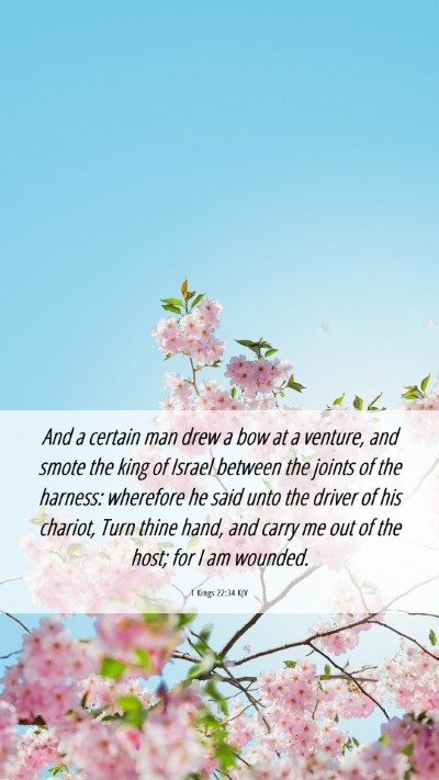 Picture 06 - 1 Kings 22:34 KJV Mobile Phone Wallpaper - And a certain man drew a bow at a venture, and - Mobile Bible Verse Wallpaper