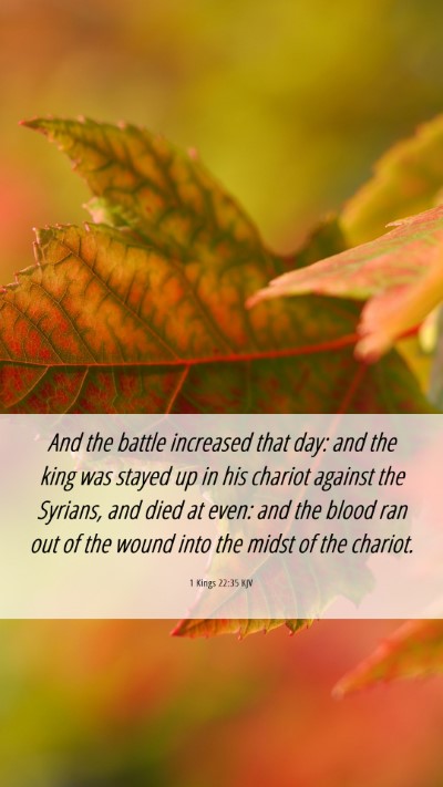 Picture 06 - 1 Kings 22:35 KJV Mobile Phone Wallpaper - And the battle increased that day: and the king - Mobile Bible Verse Wallpaper