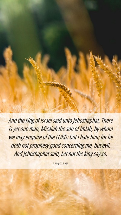 Picture 06 - 1 Kings 22:8 KJV Mobile Phone Wallpaper - And the king of Israel said unto Jehoshaphat, - Mobile Bible Verse Wallpaper