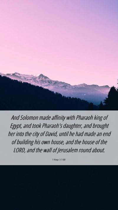 Picture 06 - 1 Kings 3:1 KJV Mobile Phone Wallpaper - And Solomon made affinity with Pharaoh king of - Mobile Bible Verse Wallpaper