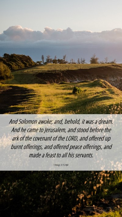 Picture 06 - 1 Kings 3:15 KJV Mobile Phone Wallpaper - And Solomon awoke; and, behold, it was a dream. - Mobile Bible Verse Wallpaper