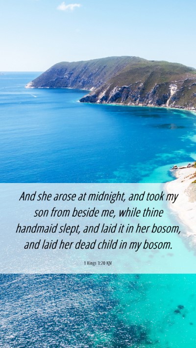 Picture 06 - 1 Kings 3:20 KJV Mobile Phone Wallpaper - And she arose at midnight, and took my son from - Mobile Bible Verse Wallpaper