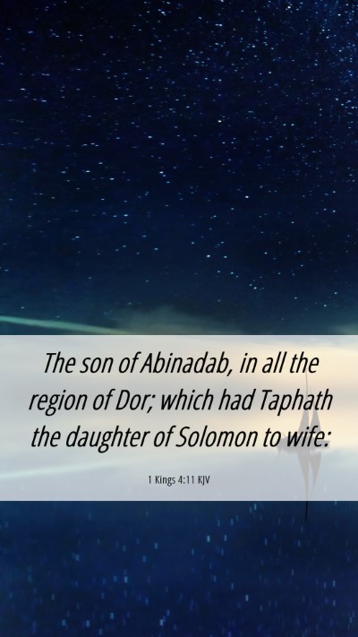 Picture 06 - 1 Kings 4:11 KJV Mobile Phone Wallpaper - The son of Abinadab, in all the region of Dor; - Mobile Bible Verse Wallpaper