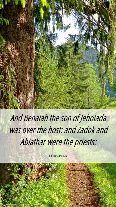 Picture 06 - 1 Kings 4:4 KJV Mobile Phone Wallpaper - And Benaiah the son of Jehoiada was over the - Mobile Bible Verse Wallpaper