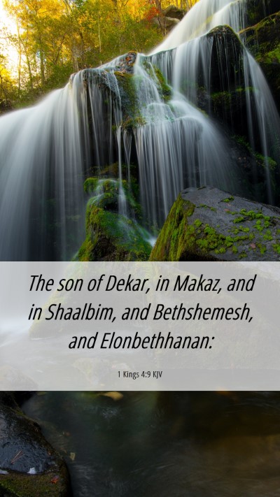 Picture 06 - 1 Kings 4:9 KJV Mobile Phone Wallpaper - The son of Dekar, in Makaz, and in Shaalbim, and - Mobile Bible Verse Wallpaper