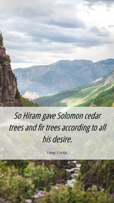 Picture 06 - 1 Kings 5:10 KJV Mobile Phone Wallpaper - So Hiram gave Solomon cedar trees and fir trees - Mobile Bible Verse Wallpaper