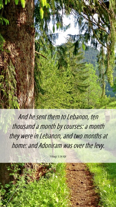 Picture 06 - 1 Kings 5:14 KJV Mobile Phone Wallpaper - And he sent them to Lebanon, ten thousand a month - Mobile Bible Verse Wallpaper