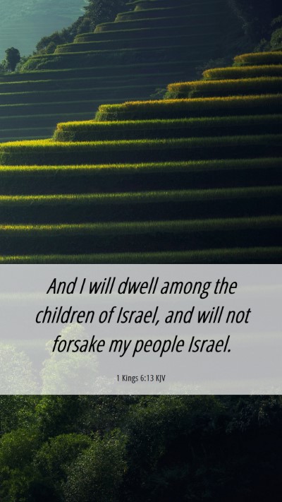 Picture 06 - 1 Kings 6:13 KJV Mobile Phone Wallpaper - And I will dwell among the children of Israel, - Mobile Bible Verse Wallpaper