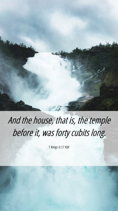 Picture 06 - 1 Kings 6:17 KJV Mobile Phone Wallpaper - And the house, that is, the temple before it, was - Mobile Bible Verse Wallpaper