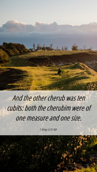 Picture 06 - 1 Kings 6:25 KJV Mobile Phone Wallpaper - And the other cherub was ten cubits: both the - Mobile Bible Verse Wallpaper
