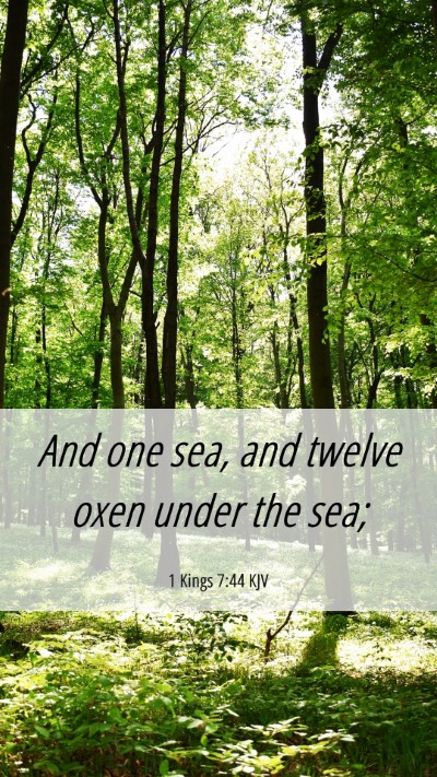 Picture 06 - 1 Kings 7:44 KJV Mobile Phone Wallpaper - And one sea, and twelve oxen under the - Mobile Bible Verse Wallpaper