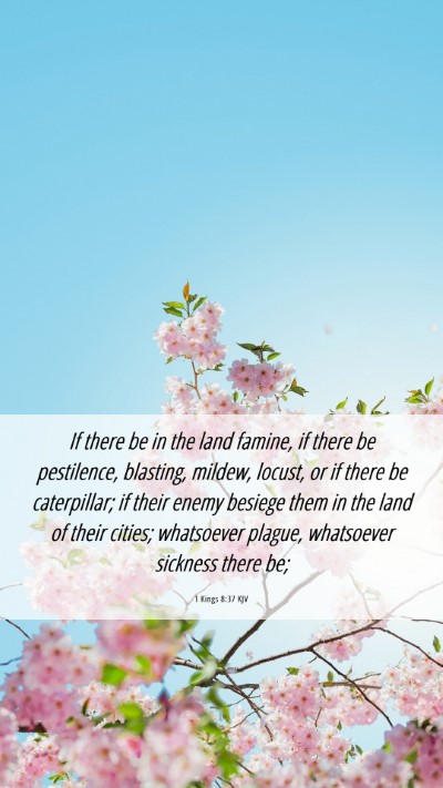 Picture 06 - 1 Kings 8:37 KJV Mobile Phone Wallpaper - If there be in the land famine, if there be - Mobile Bible Verse Wallpaper