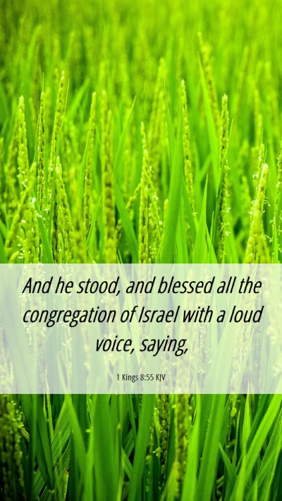 Picture 06 - 1 Kings 8:55 KJV Mobile Phone Wallpaper - And he stood, and blessed all the congregation of - Mobile Bible Verse Wallpaper