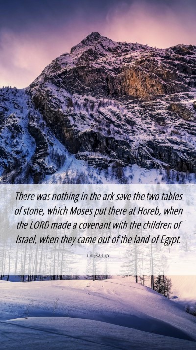 Picture 06 - 1 Kings 8:9 KJV Mobile Phone Wallpaper - There was nothing in the ark save the two tables - Mobile Bible Verse Wallpaper