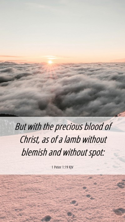 Picture 06 - 1 Peter 1:19 KJV Mobile Phone Wallpaper - But with the precious blood of Christ, as of a - Mobile Bible Verse Wallpaper