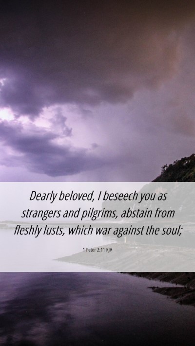 Picture 06 - 1 Peter 2:11 KJV Mobile Phone Wallpaper - Dearly beloved, I beseech you as strangers and - Mobile Bible Verse Wallpaper