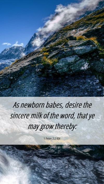 Picture 06 - 1 Peter 2:2 KJV Mobile Phone Wallpaper - As newborn babes, desire the sincere milk of the - Mobile Bible Verse Wallpaper