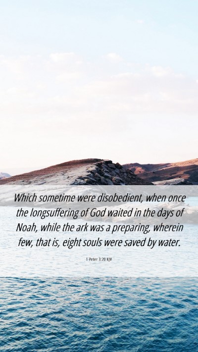 Picture 06 - 1 Peter 3:20 KJV Mobile Phone Wallpaper - Which sometime were disobedient, when once the - Mobile Bible Verse Wallpaper