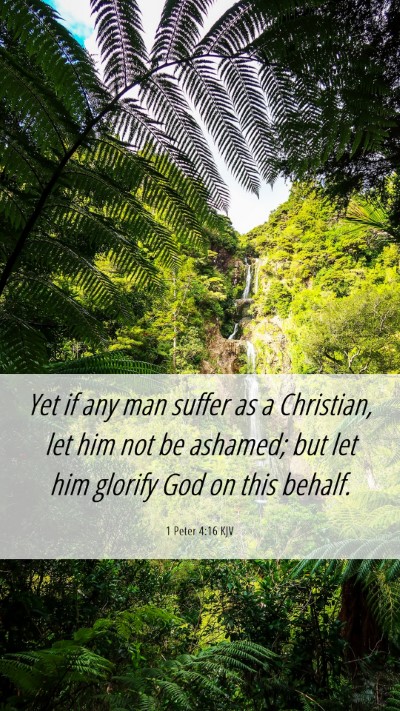 Picture 06 - 1 Peter 4:16 KJV Mobile Phone Wallpaper - Yet if any man suffer as a Christian, let him not - Mobile Bible Verse Wallpaper