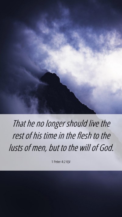Picture 06 - 1 Peter 4:2 KJV Mobile Phone Wallpaper - That he no longer should live the rest of his - Mobile Bible Verse Wallpaper