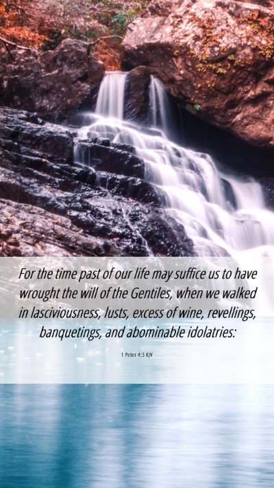 Picture 06 - 1 Peter 4:3 KJV Mobile Phone Wallpaper - For the time past of our life may suffice us to - Mobile Bible Verse Wallpaper