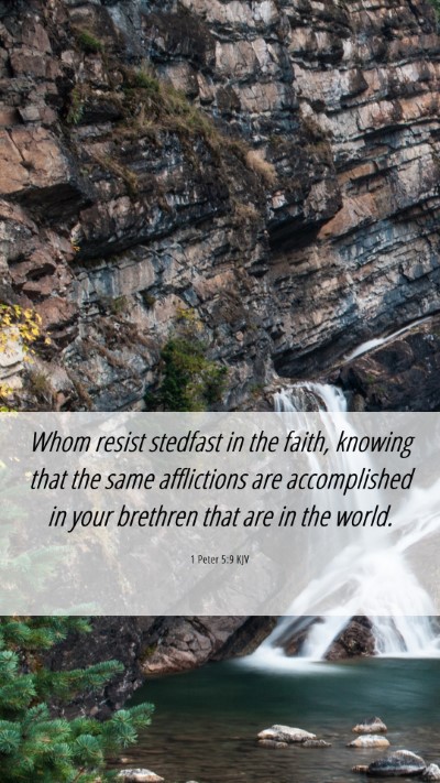 Picture 06 - 1 Peter 5:9 KJV Mobile Phone Wallpaper - Whom resist stedfast in the faith, knowing that - Mobile Bible Verse Wallpaper