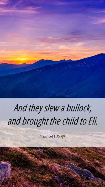 Picture 06 - 1 Samuel 1:25 KJV Mobile Phone Wallpaper - And they slew a bullock, and brought the child to - Mobile Bible Verse Wallpaper