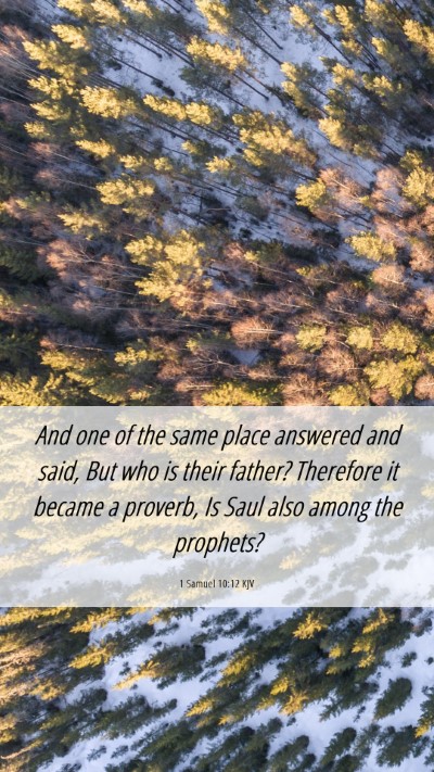 Picture 06 - 1 Samuel 10:12 KJV Mobile Phone Wallpaper - And one of the same place answered and said, But - Mobile Bible Verse Wallpaper