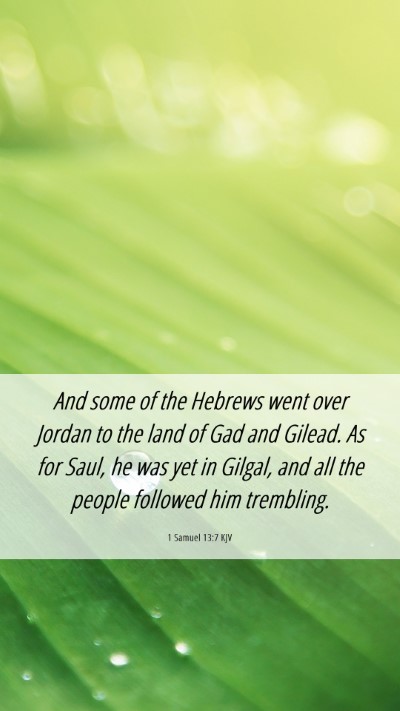 Picture 06 - 1 Samuel 13:7 KJV Mobile Phone Wallpaper - And some of the Hebrews went over Jordan to the - Mobile Bible Verse Wallpaper