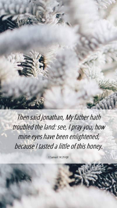 Picture 06 - 1 Samuel 14:29 KJV Mobile Phone Wallpaper - Then said Jonathan, My father hath troubled the - Mobile Bible Verse Wallpaper