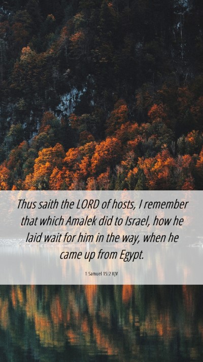 Picture 06 - 1 Samuel 15:2 KJV Mobile Phone Wallpaper - Thus saith the LORD of hosts, I remember that - Mobile Bible Verse Wallpaper
