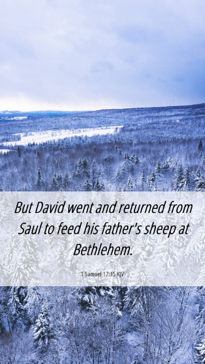 Picture 06 - 1 Samuel 17:15 KJV Mobile Phone Wallpaper - But David went and returned from Saul to feed his - Mobile Bible Verse Wallpaper