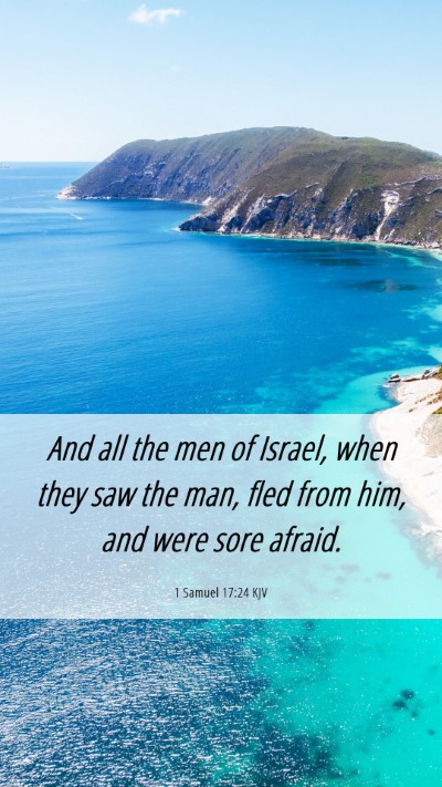 Picture 06 - 1 Samuel 17:24 KJV Mobile Phone Wallpaper - And all the men of Israel, when they saw the man, - Mobile Bible Verse Wallpaper