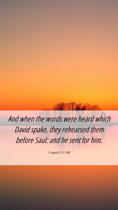 Picture 06 - 1 Samuel 17:31 KJV Mobile Phone Wallpaper - And when the words were heard which David spake, - Mobile Bible Verse Wallpaper