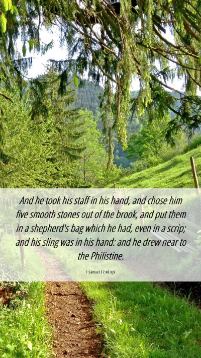Picture 06 - 1 Samuel 17:40 KJV Mobile Phone Wallpaper - And he took his staff in his hand, and chose him - Mobile Bible Verse Wallpaper