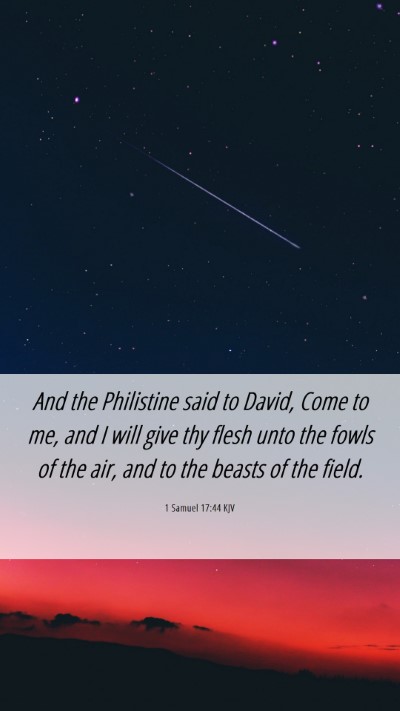 Picture 06 - 1 Samuel 17:44 KJV Mobile Phone Wallpaper - And the Philistine said to David, Come to me, and - Mobile Bible Verse Wallpaper