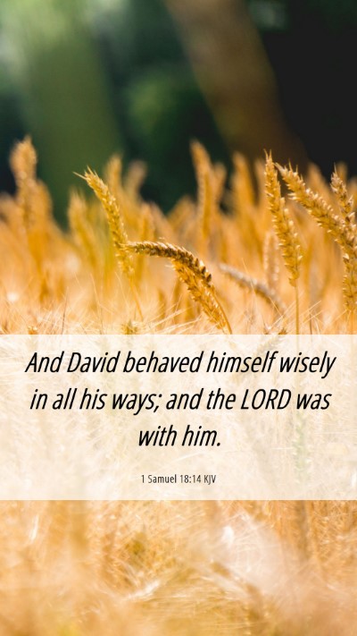 Picture 06 - 1 Samuel 18:14 KJV Mobile Phone Wallpaper - And David behaved himself wisely in all his ways; - Mobile Bible Verse Wallpaper