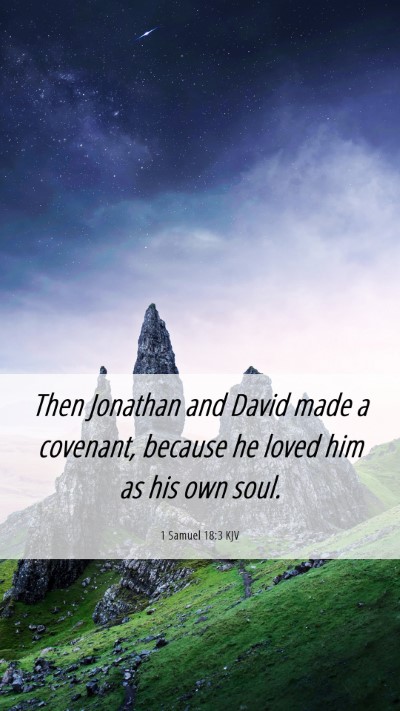 Picture 06 - 1 Samuel 18:3 KJV Mobile Phone Wallpaper - Then Jonathan and David made a covenant, because - Mobile Bible Verse Wallpaper