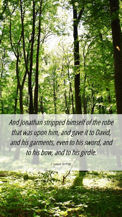 Picture 06 - 1 Samuel 18:4 KJV Mobile Phone Wallpaper - And Jonathan stripped himself of the robe that - Mobile Bible Verse Wallpaper