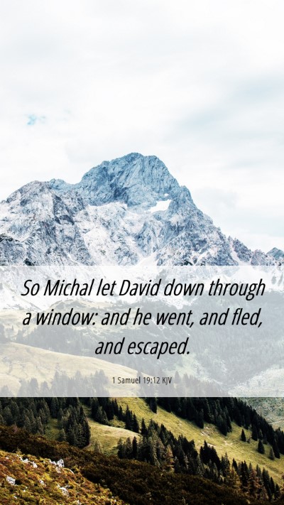 Picture 06 - 1 Samuel 19:12 KJV Mobile Phone Wallpaper - So Michal let David down through a window: and he - Mobile Bible Verse Wallpaper