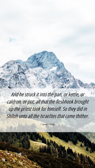 Picture 06 - 1 Samuel 2:14 KJV Mobile Phone Wallpaper - And he struck it into the pan, or kettle, or - Mobile Bible Verse Wallpaper