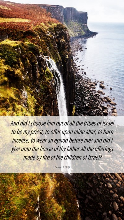 Picture 06 - 1 Samuel 2:28 KJV Mobile Phone Wallpaper - And did I choose him out of all the tribes of - Mobile Bible Verse Wallpaper