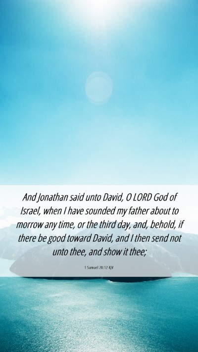 Picture 06 - 1 Samuel 20:12 KJV Mobile Phone Wallpaper - And Jonathan said unto David, O LORD God of - Mobile Bible Verse Wallpaper